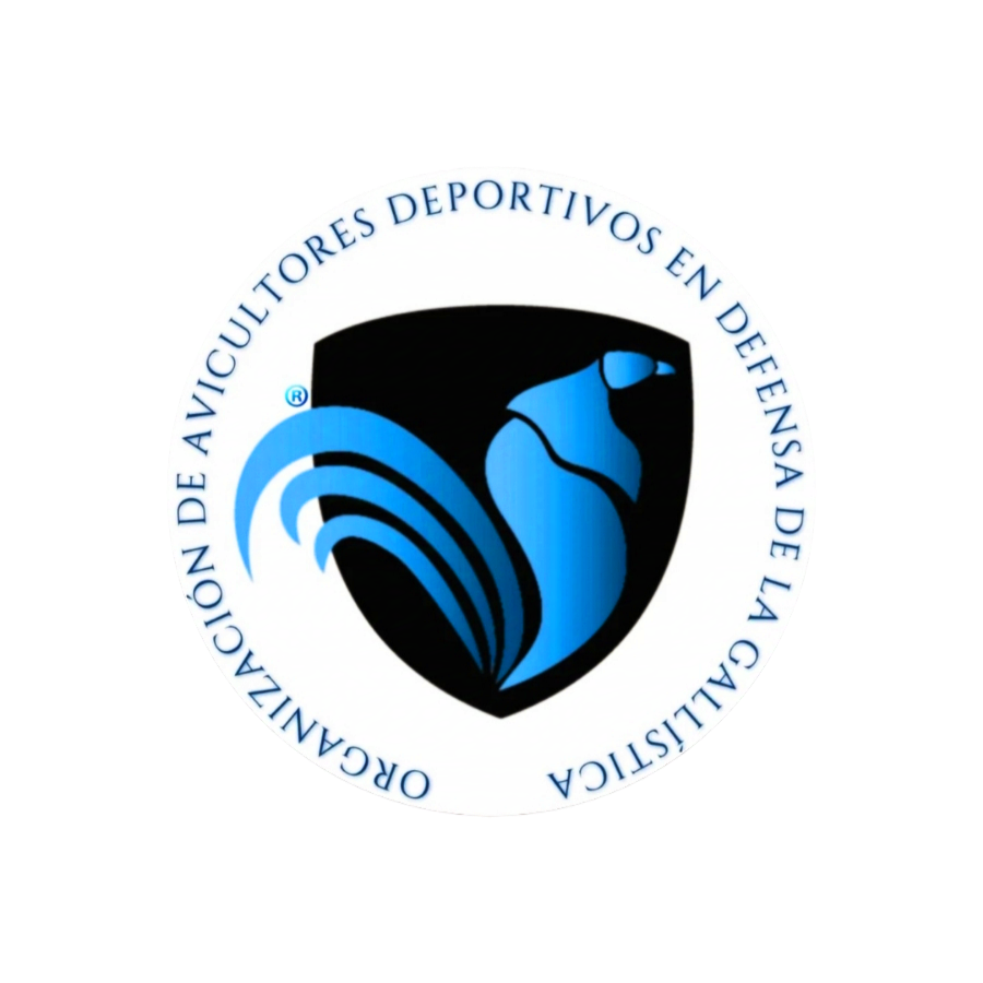 Logo 1