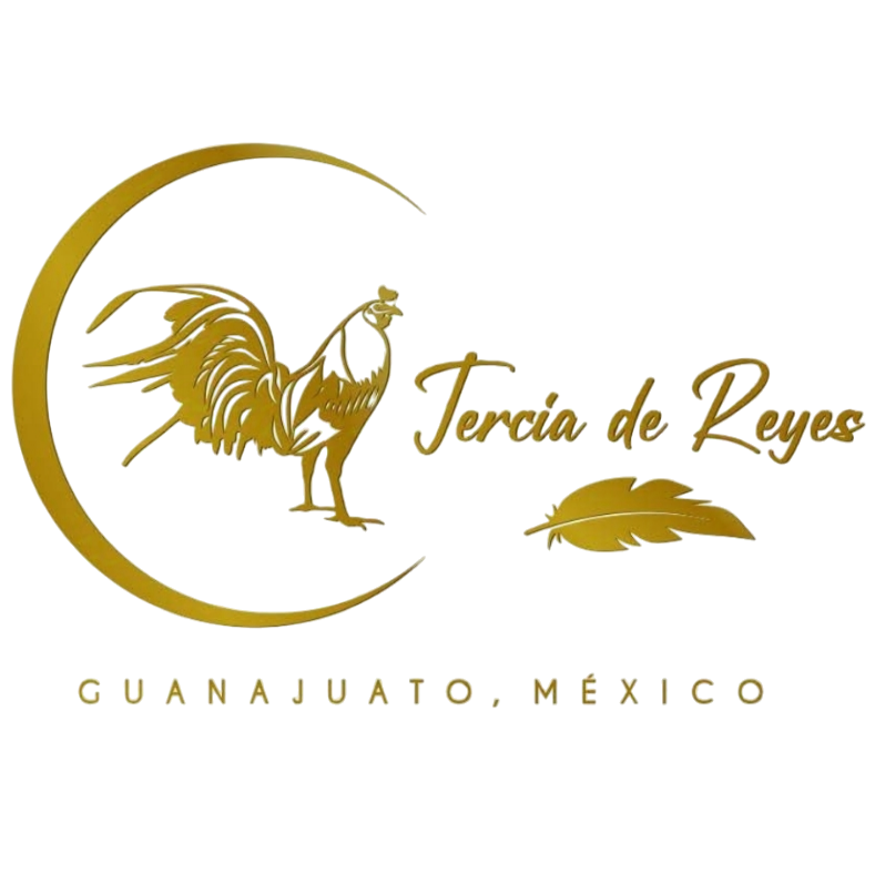 Logo 5