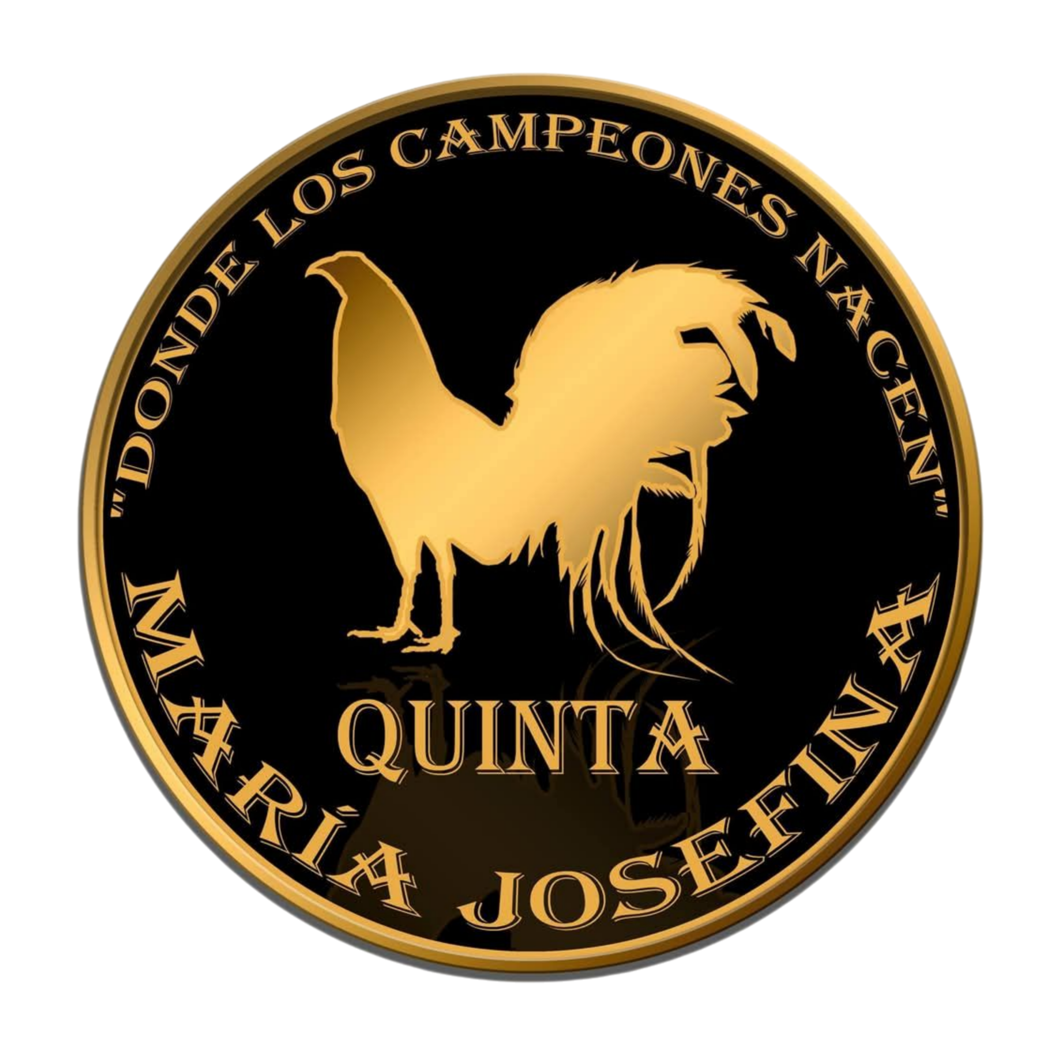 Logo 6