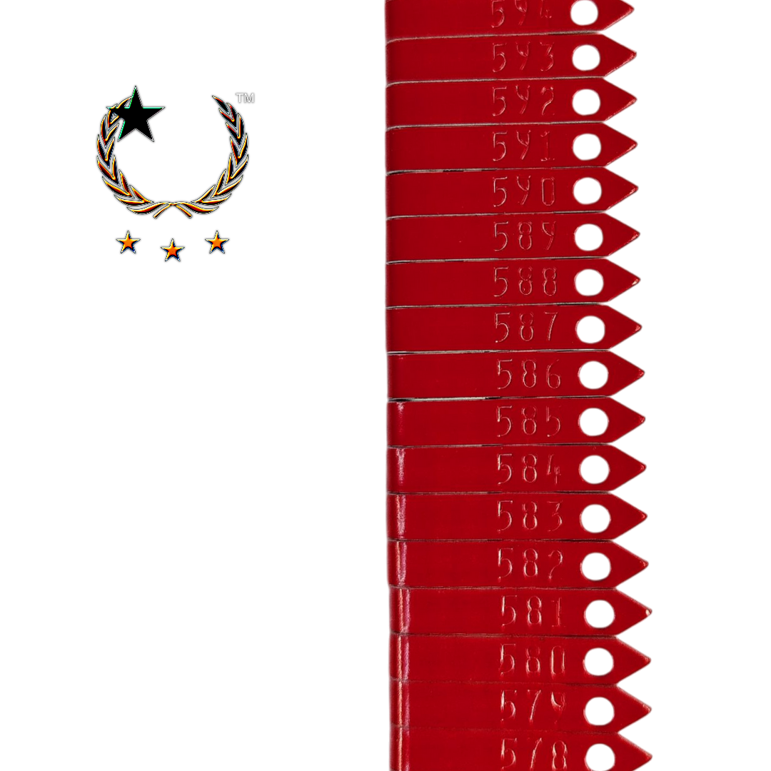 Placas de Aluminio Estilo Zip