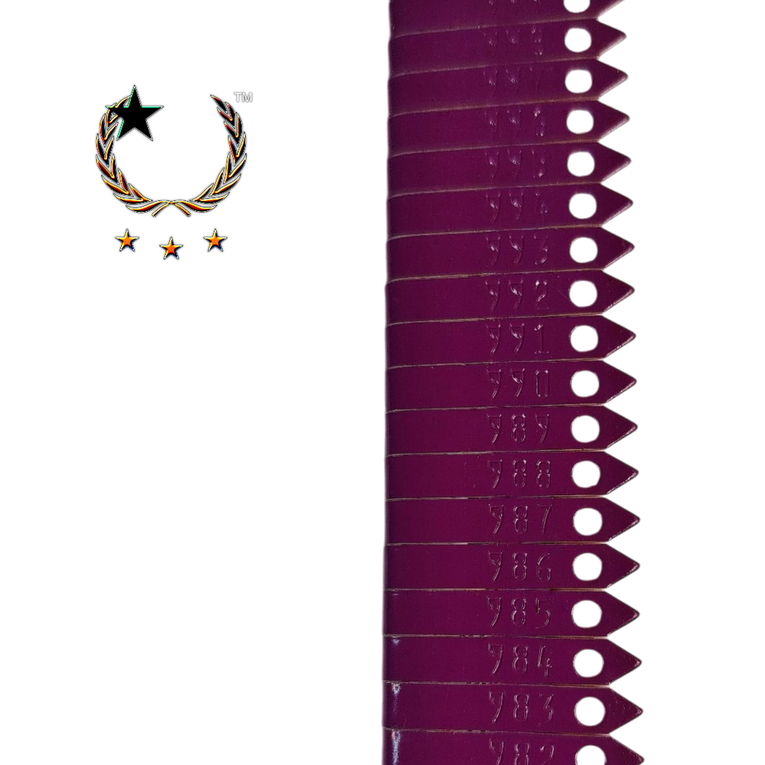 Placas de Aluminio de Seguridad Estilo Zip