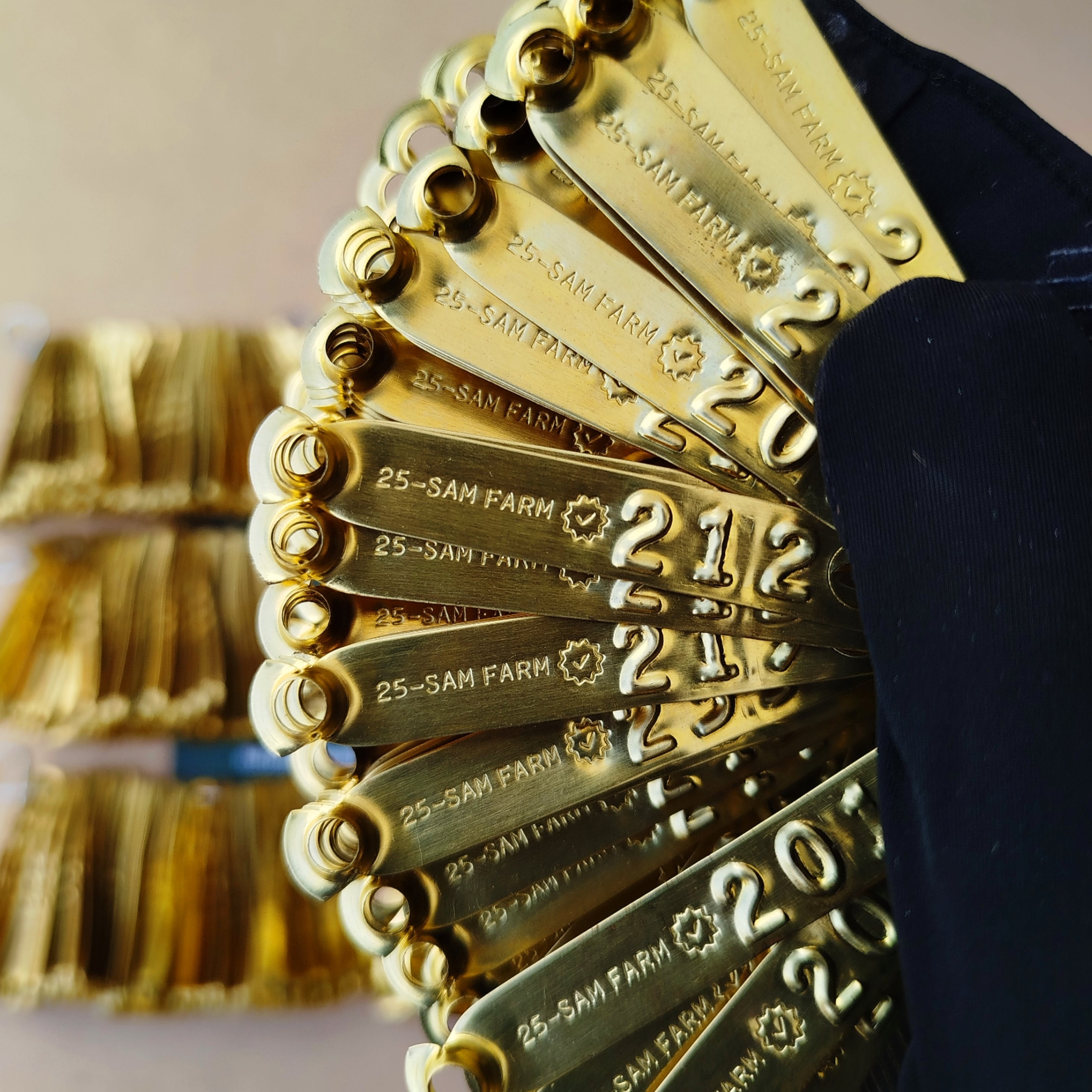 Anillos De Bronce