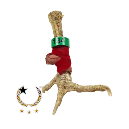 Bandetes de Plástico