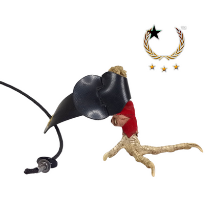 Calza de Neopreno con Cordón de Nylon