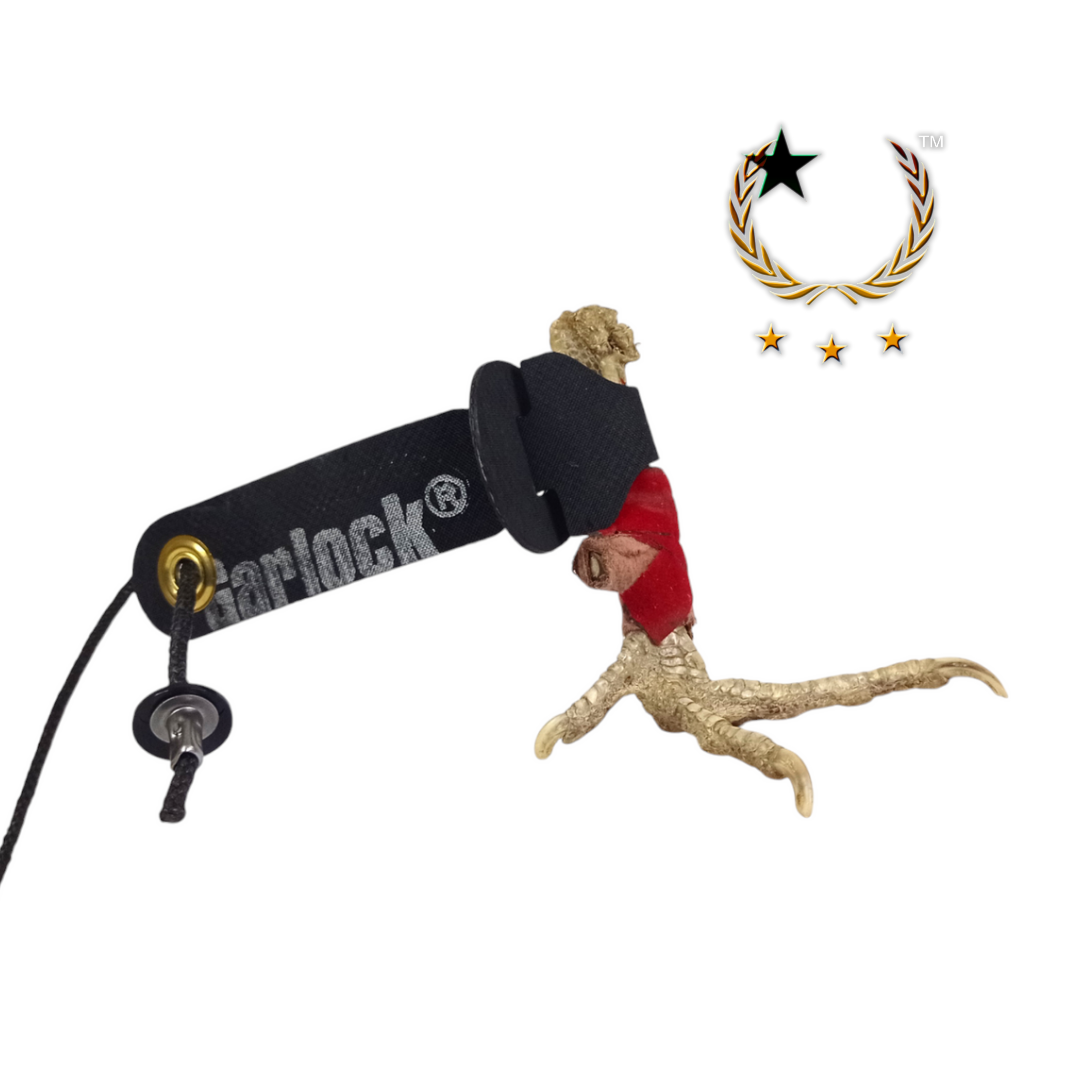 Calza Garlock con Cordón Nylon
