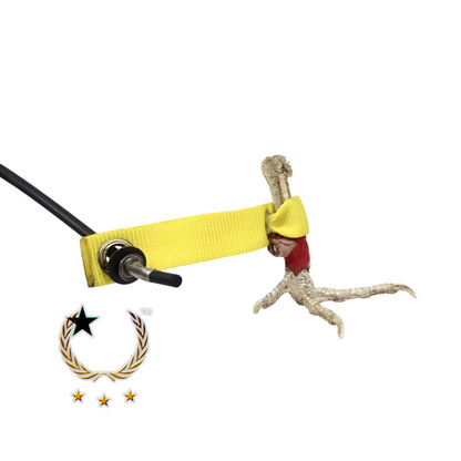 Calza Nylon
