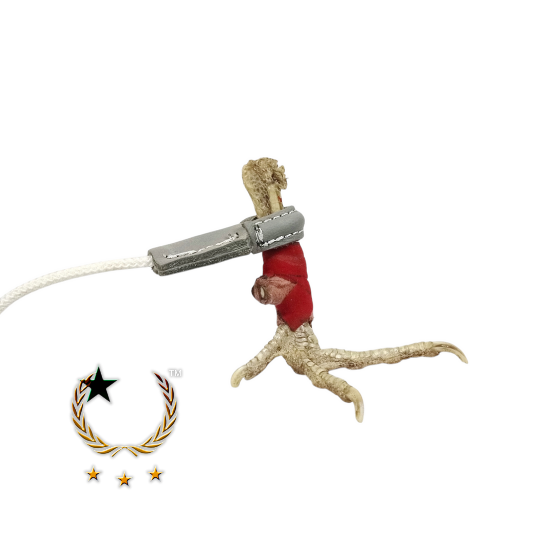 Calza para Librar