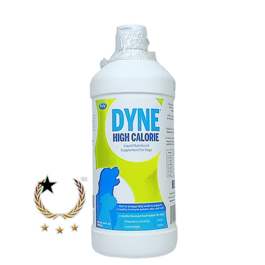 DYNE