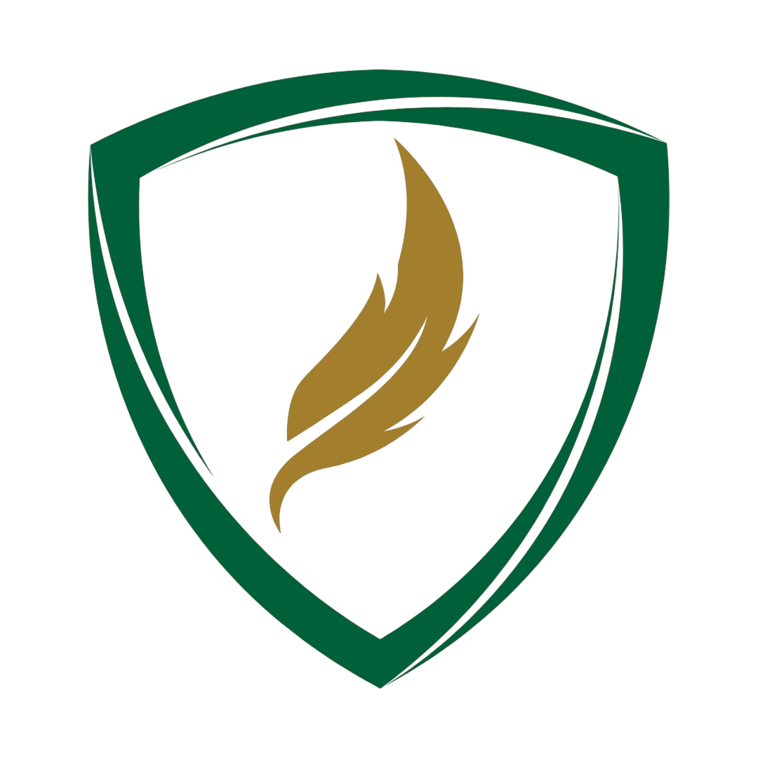 Protección de Envío