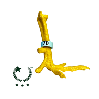 Bandetes de Plástico