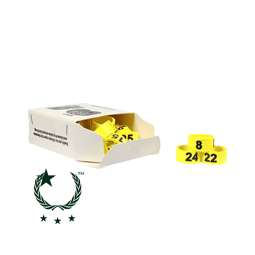 Bandetes de Plástico