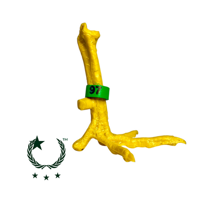 Bandetes de Plástico